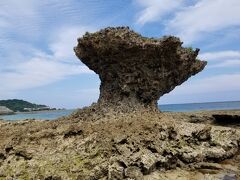 この間見た台湾の花瓶岩そっくり。海岸の岩肌がゴツゴツしてて、こけたら大惨事の予感。慎重に歩きました。