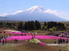 富士芝桜まつり