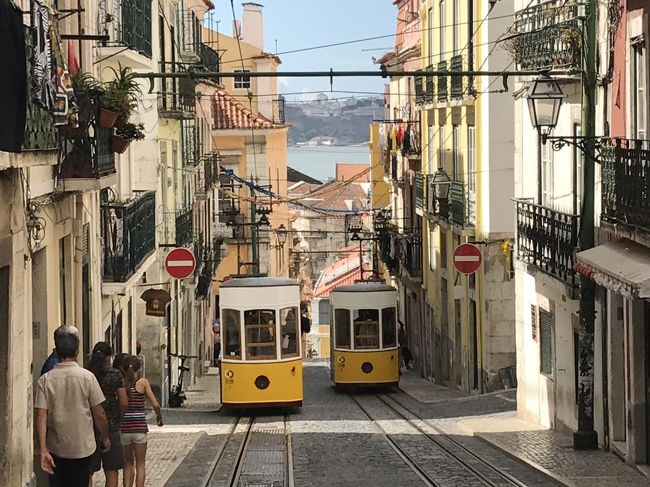 路面電車来ました！２台すれ違いをパチリ。