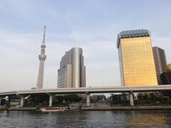 ホテルの前の公園でしばらくスカイツリーを眺めていました。結構多くの人が集まっていて、この景色を見ています。