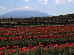 山中湖 花の都公園