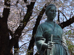 二ノ丸跡を抜け、博物館の建つ三の丸跡に出た。
そこには、山本八重の銅像が。
会津戦争では、多くの女性が命を落としたが、この八重のように、籠城戦に参加して生き残った者もいる。