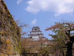 西大手門跡から城内へ入り、西出丸を経て本丸へ。
本丸内は、観光客で賑わっていたが、やはり桜はすでに散った後だった。