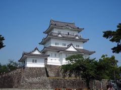 これが小田原城です。
もともとの小田原城は明治3年に廃城となり、その後の関東大震災で崩れ落ちましたが、1960年に復元されました。