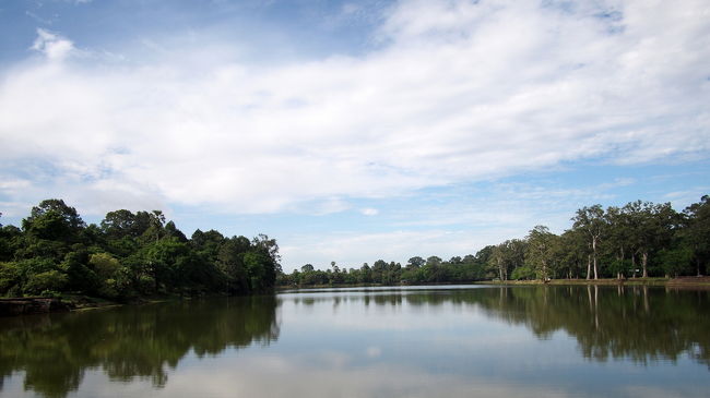 アンコールワットの周りのお堀は<br />かなり幅がひろい<br /><br />西参道の橋の真ん中あたりでは<br />右を見ても、左をみても<br />見渡す限りの樹海がひろがる