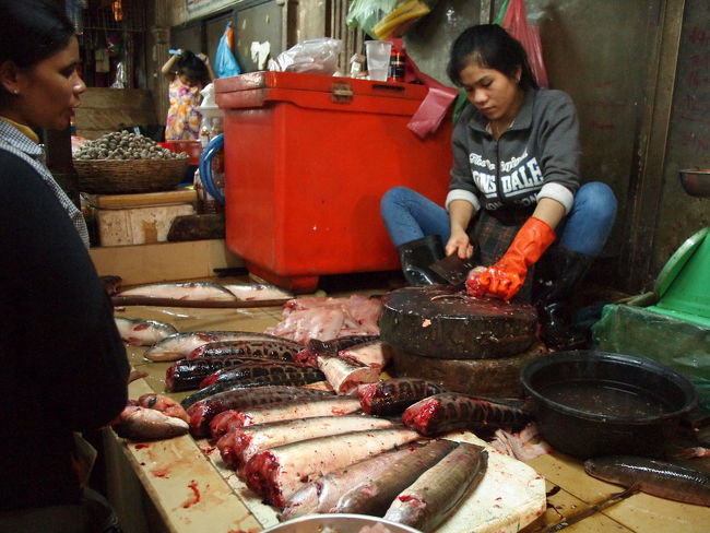 シェムリアップの近くには<br />とても大きなトレンサップ湖という<br />おおきなみずうみがある<br /><br />その湖やメコン川で取れたさかな<br />魚もベトナムの市場と同じように<br />頭を落として丸ごと並べてある<br /><br />日本とちがって東南アジアの国々では<br />三枚におろすというような処理はしない