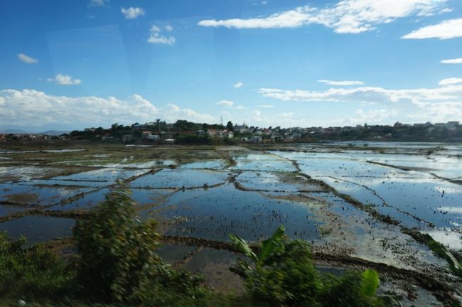 空港から迎えのバスで、アンタナナリヴ市街に向かいます。<br />今回のツアー・メンバーは、ご夫婦２組を含むほとんどがシニアの１８名、２台の中型バスに分乗し、それにスーツケース運搬専用車の３台での移動となります。<br />空港を出るとバスは水田が広がる地帯を抜けて行きます。日本はぽかぽか陽気の春でしたが、ここでは秋が始まったところ、それに、アンタナナリヴは標高が１４００mほどの高地にあるためか、それほど暑くはありません。