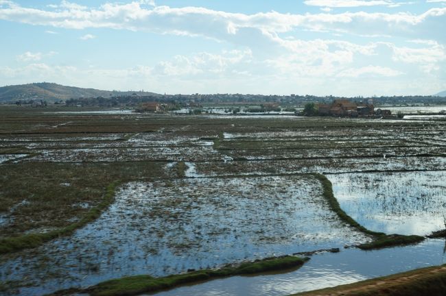 稲作がおこなわれていた水田地帯。収穫は既に終了しているようです。