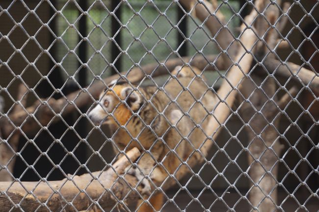 これも・・・紳士の振る舞い～しています。