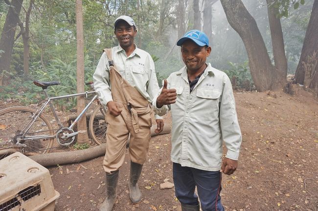動物の飼育員の皆さんです。<br />作業服の胸には「仙台市」と表示されています。建物の一部等を含めて日本から援助が行われているようです。<br />旅程の大幅変更により、ペリネ自然保護区に行けなくなり、それに替えての入園でしたが、真近かで固有のキツネザルらを見られて良しとします。