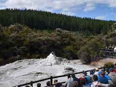 ロトルア周辺は北島のなかでも特に地熱活動がさかんで、ちょっと郊外に出るとあちこちに湯気が立っている。
まずはそんな地熱関係の名所を一堂に集めた「ワイオタプ・サーマル・ワンダーランド」へ。「レディ・ノックス間欠泉」は石けんを入れると噴き上がるというめずらしい間欠泉だ。