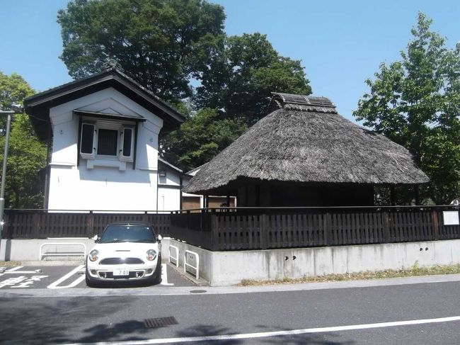 等々力渓谷で木々の中の散策を味わい二子玉川まで歩いた 二子玉川 東京 の旅行記 ブログ By Empenguinさん フォートラベル