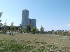 二子玉川公園の芝生広場．

2013年開園でまだ新しいです．