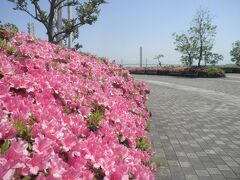 丁度、躑躅が満開でした。
海の青さと対比されて一際綺麗に見えます。