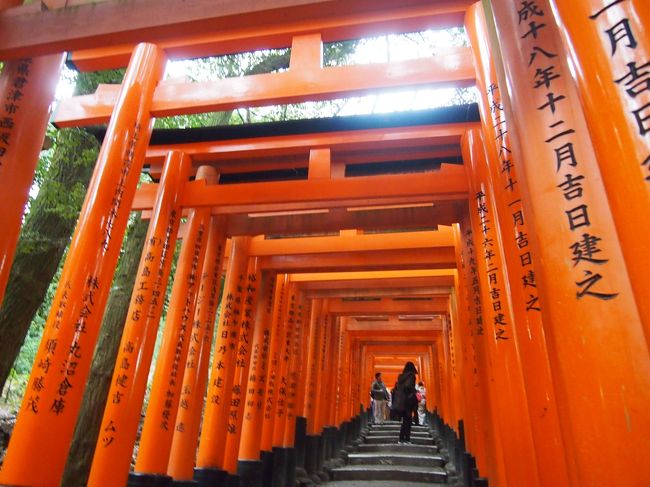 母娘で行く京都旅行 4 隋心院 醍醐寺 伏見稲荷 など 山科 京都 の旅行記 ブログ By かおニャンさん フォートラベル 母娘で行く京都旅行 4 隋心院 醍醐寺 伏見稲荷 など 山科 京都 の旅行記 ブログ By かおニャンさん フォートラベル