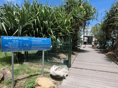 海に来て水族館もあれですが(笑)
水族館好きなので♪