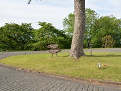 ホテルを挟んで、富士コースと大島コースとあるようです。
翌日、朝食の時にここを何台かのカートが行き交うのを見ました。
私は、ゴルフをやらないので解りませんが、こんなところでプレイしたらさぞかし気持ち良いのでは？と想像はできました。