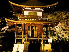 夜景の勧修寺
ライトアップされた観音堂と桜
少人数での鑑賞会でゆっくり写真撮影も出来、満開の桜を
ゆっくり観て廻ることが出来満足した時間を過した。