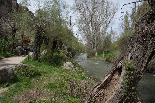 川のせせらぎが聞こえる中を途中、茶屋休憩を入れながら、のんびり歩く。