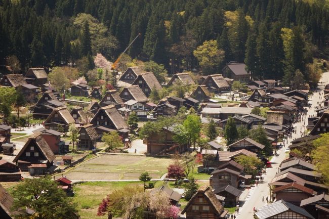 スーパーサマーセール】立山黒部アルペンルートと白川郷・飛騨
