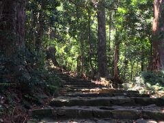 那智山の麓から那智大社に続く600ｍ余に敷かれた石畳の階段は267段。