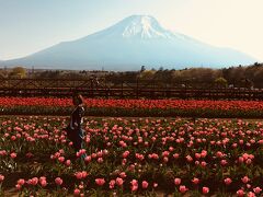 花の都公園です。ここは公園の外
入場料がなくとも、チューリップと写真が撮れます
