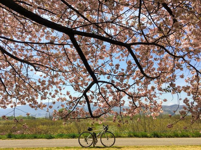 ちいさな自転車旅 野沢温泉 湯田中温泉 長野 長野県の旅行記 ブログ By Hiyoccoさん フォートラベル ちいさな自転車旅 野沢温泉 湯田中温泉 長野 長野県の旅行記 ブログ By Hiyoccoさん フォートラベル