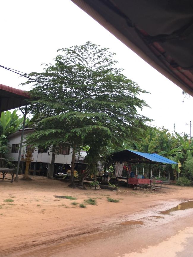 やっとついた！<br />ドライバーさんは、「遠かったよ！お腹すいたーー」と疲れちゃっていました。<br /><br />