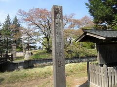 慶応3年（1867年）に龍岡藩主「松平乗謨」（まつだいらのりかた）によって造られ、五つの稜が星形に突き出た擬洋式城郭です。