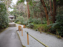 総門を潜りしばらく歩くと、参道の脇は鬱蒼とした森となる。
鎌倉は、駅周辺から海にかけては市街地が広がるが、その他は自然豊かな丘陵地帯が広がっている。
森は深く、怖いくらいだ。