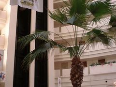 アっという間に出発の時間とあってシャワーをサッと浴びて、ホテルの前から空港行きバスに乗るため乗車券購入。