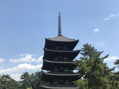 名物の五重塔。
相当離れないと全体が入らないのですが、離れるとものすごい数の観光客も一緒に入るという。。
これ、室町中期に再建したものが現存してるそうです。
レトロなんてもんじゃない（※もちろん国宝です）
ちなみに先ほどの南円堂は江戸時代中期の再建だそうです。それでもすごいけど。

京都の優雅な感じも好きなんですが、どっちかというと奈良のどっしりした感じの造りが好きなのです。
京都でも奈良っぽい造りの東寺とかが特に好き。
人は多いですが、それでもなんかゆったりした空気が流れていて、古い建物はやっぱりいいなーと思います。