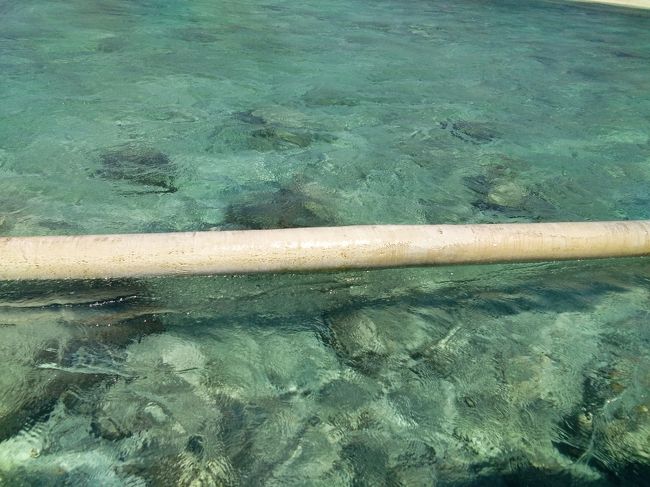 見てください。この透明度。