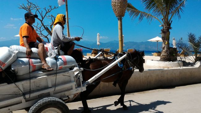 これがチドモの全様。貨物版？