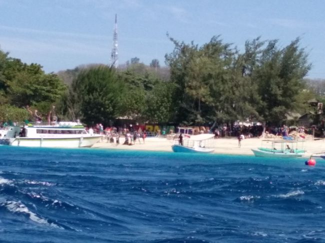 さて、いよいよシュノケーリングポイント1．結構波が高い。