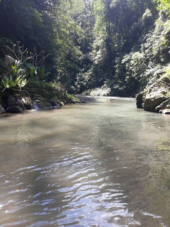 美しく気持ちの良い自然に囲まれています。
