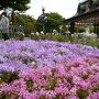 雨でも楽しんでしまった東京ディズニーリゾート①