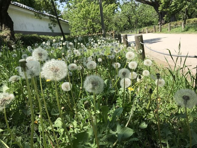 初めての茨城 初めての水戸観光 水戸 茨城県 の旅行記 ブログ By Borithorさん フォートラベル