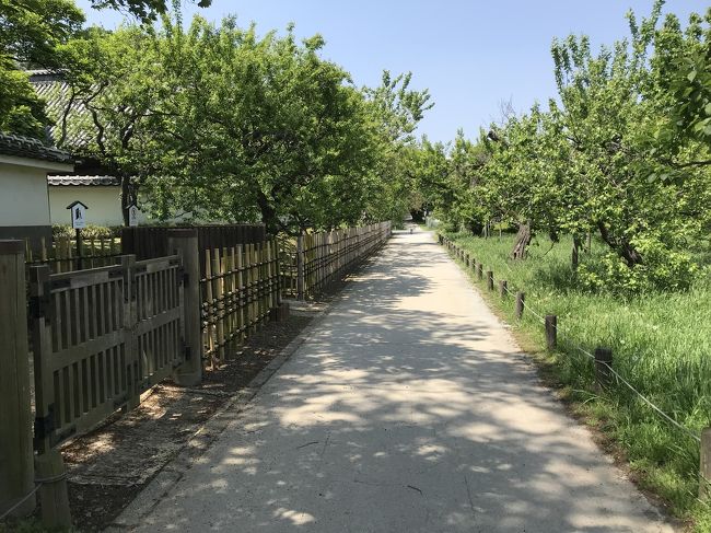初めての茨城 初めての水戸観光 水戸 茨城県 の旅行記 ブログ By Borithorさん フォートラベル