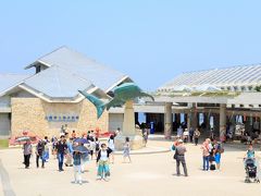 【美ら海水族館】
https://churaumi.okinawa/
住所：沖縄県国頭郡本部町石川４２４
営業時間：8：30～20：00
料金：1850円（夕方入場だと安くなる）
