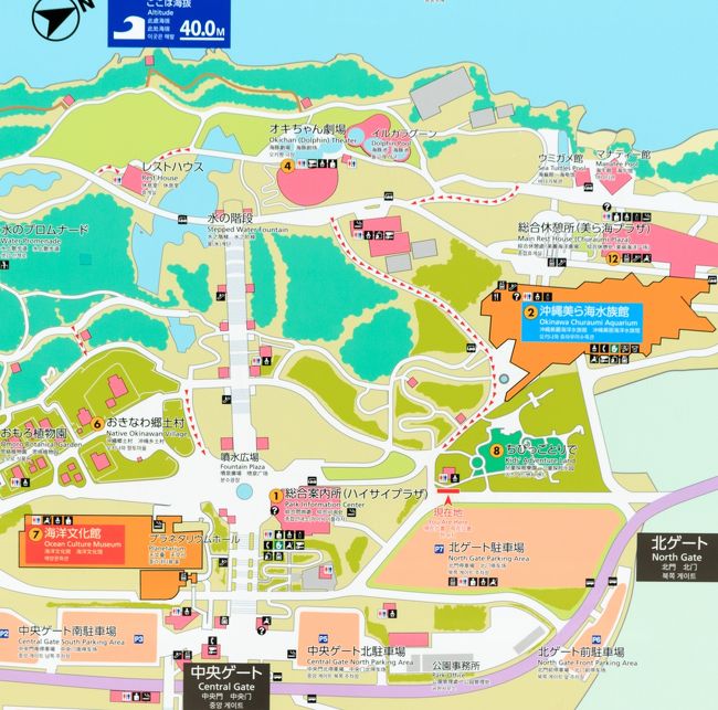 47都道府県最後の旅は二千円札をゲットしに沖縄へ その２北部編 古宇利大橋 美ら海水族館 海洋博公園 おきなわ郷土村 美ら海 本部 今帰仁 沖縄県 の旅行記 ブログ By ひろさん フォートラベル