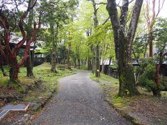 雨は止んだが山に登るにゃ天候快復がもうちょっと。

釣りの準備もして来たけれどなんだか気が乗らない。

ということで、場内散策。