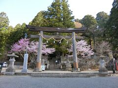 朝ごはんの後、戸隠神社中社へ。まだ早い時間なので駐車場もすんなり入れた。