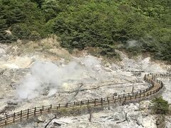 旅館の部屋からは雲仙地獄が間近に望めました。
疲れた母と、疲れた娘、散策はやめにして、窓からの景色でゆったりと過ごしました。