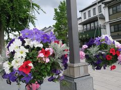 ちょうどＧＷ期間は、長野駅から善光寺に向かう通りを車両通行止めにして、善光寺花回廊が開催中。