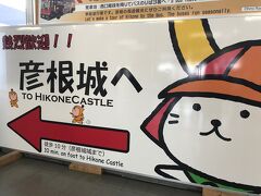 深夜に東京を出て、愛知県の刈谷ハイウェイオアシスで仮眠をとったあと、彦根へやって来ました。
この日は駅前に新しくできた東横インに宿泊。
ホテルの駐車場に車を停めてから、彦根観光へ！