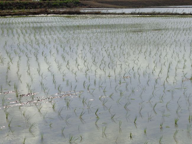 台風が来ないように～
