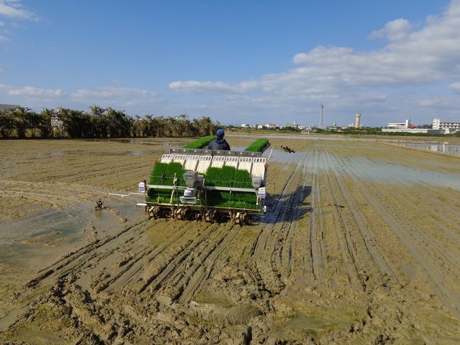 島には水田は少ない