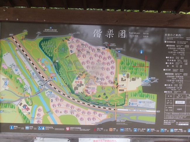 子連れキャンプ 茨城観光 大洗 茨城県 の旅行記 ブログ By Yukiさん フォートラベル