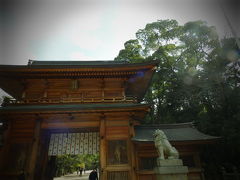 こちらも行きたかった場所。大三島にある大山祇神社。しまなみ海道の神秘のパワースポット。